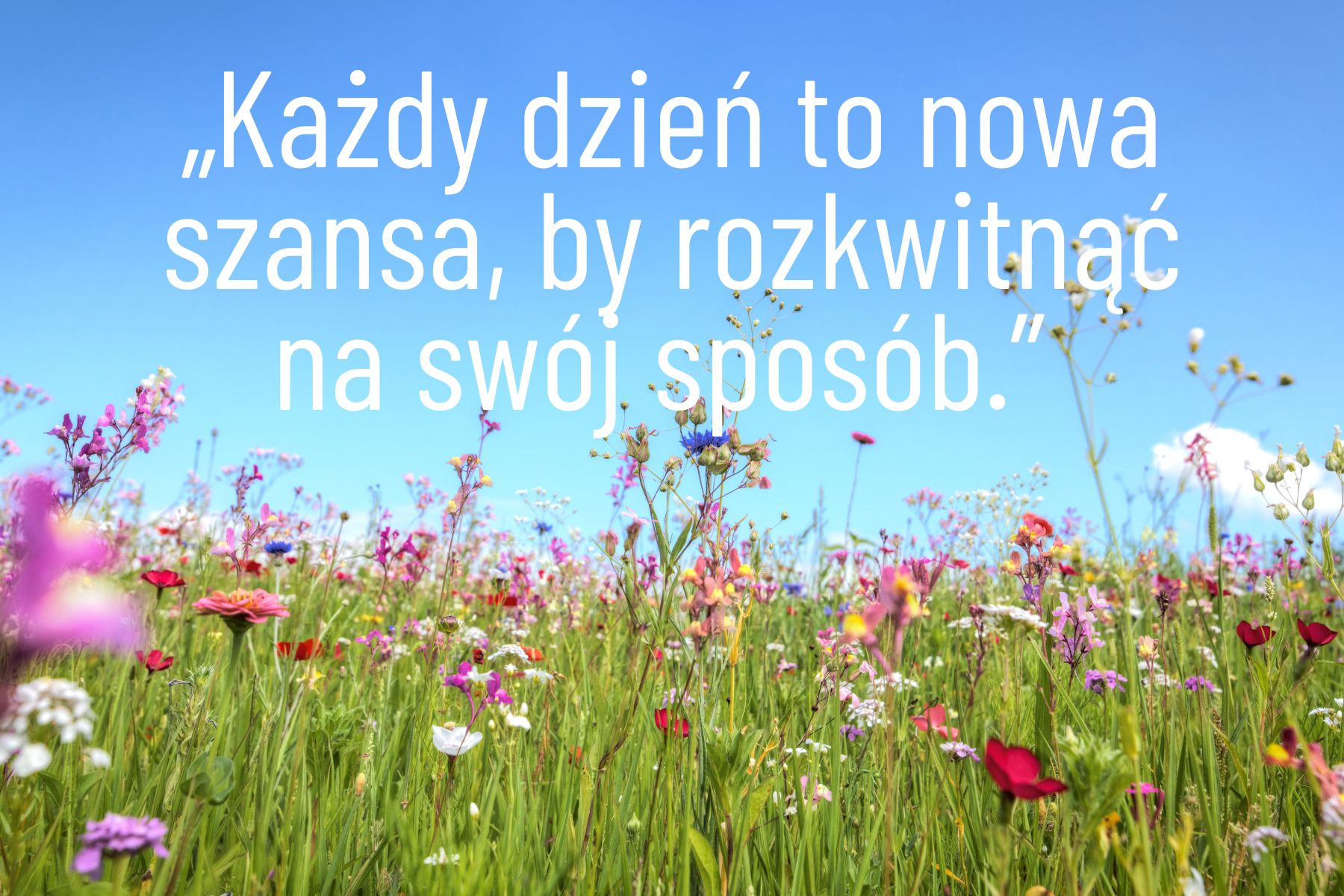 Różowa Kwiecista Życzenia Dzień Matki Kartka (1)