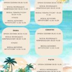 Pomarańczowy Biały Minimalistyczny Planer Tygodniowy Dokument A4 (28)